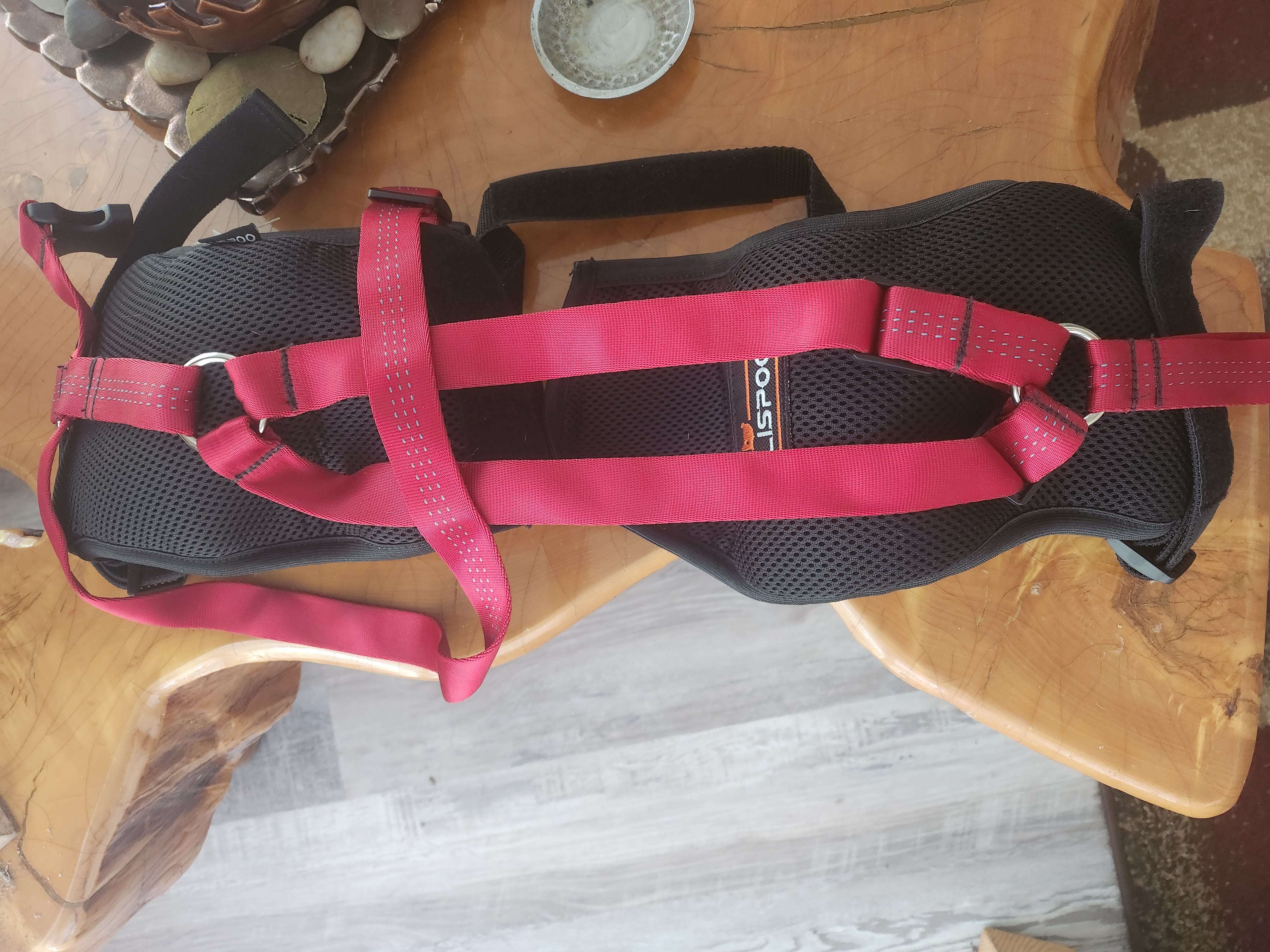 LISPOO Dog Hip Brace for Hip Dysplasia review 1