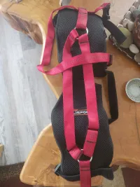 LISPOO Dog Hip Brace for Hip Dysplasia review 1