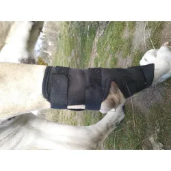 Dog Leg Braces for Fix Hock Sprains review Maxine Ferguson 01