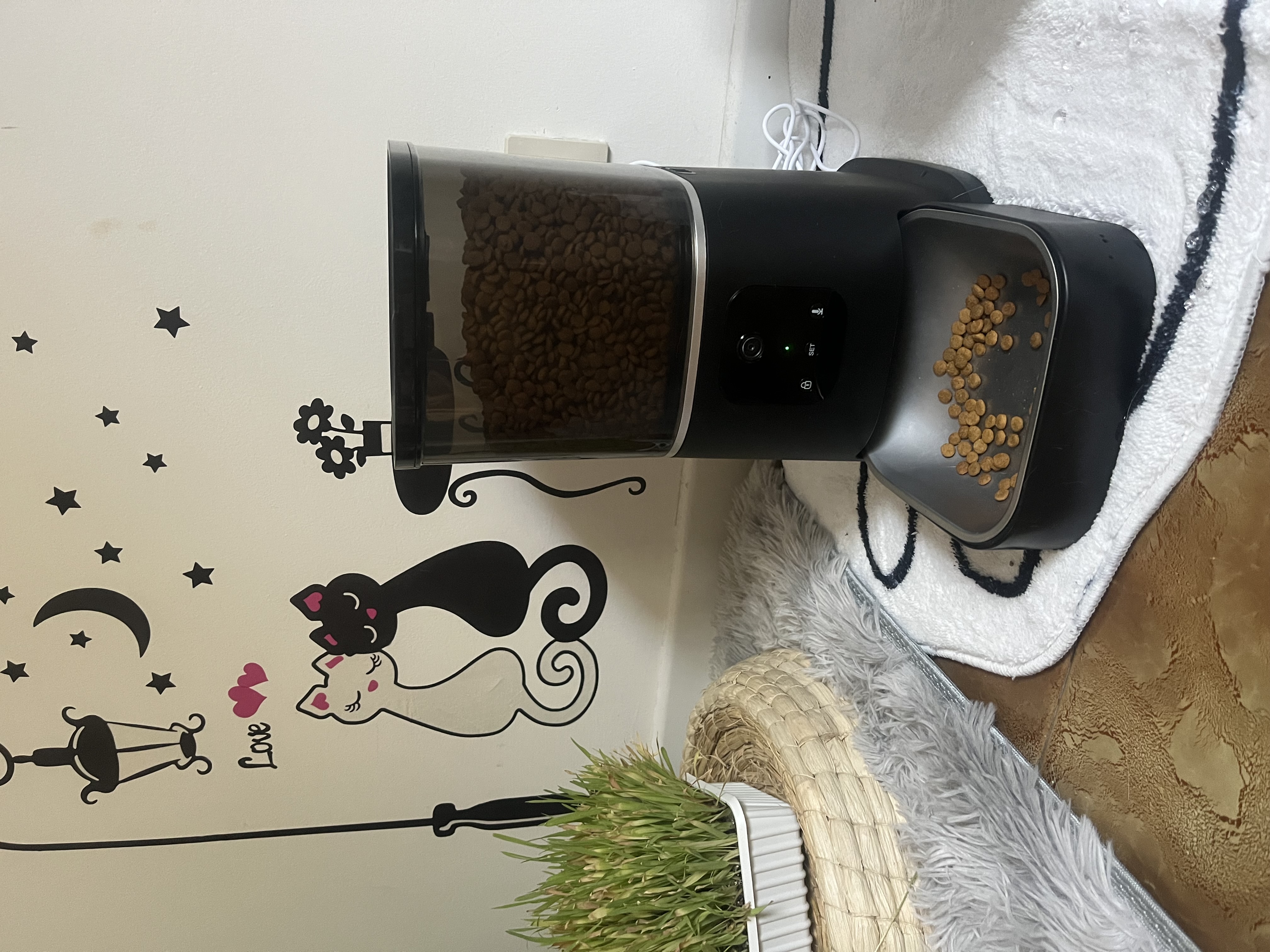 Cat & Dog Automatic Feeder With HD Camera 6L review Laila 03