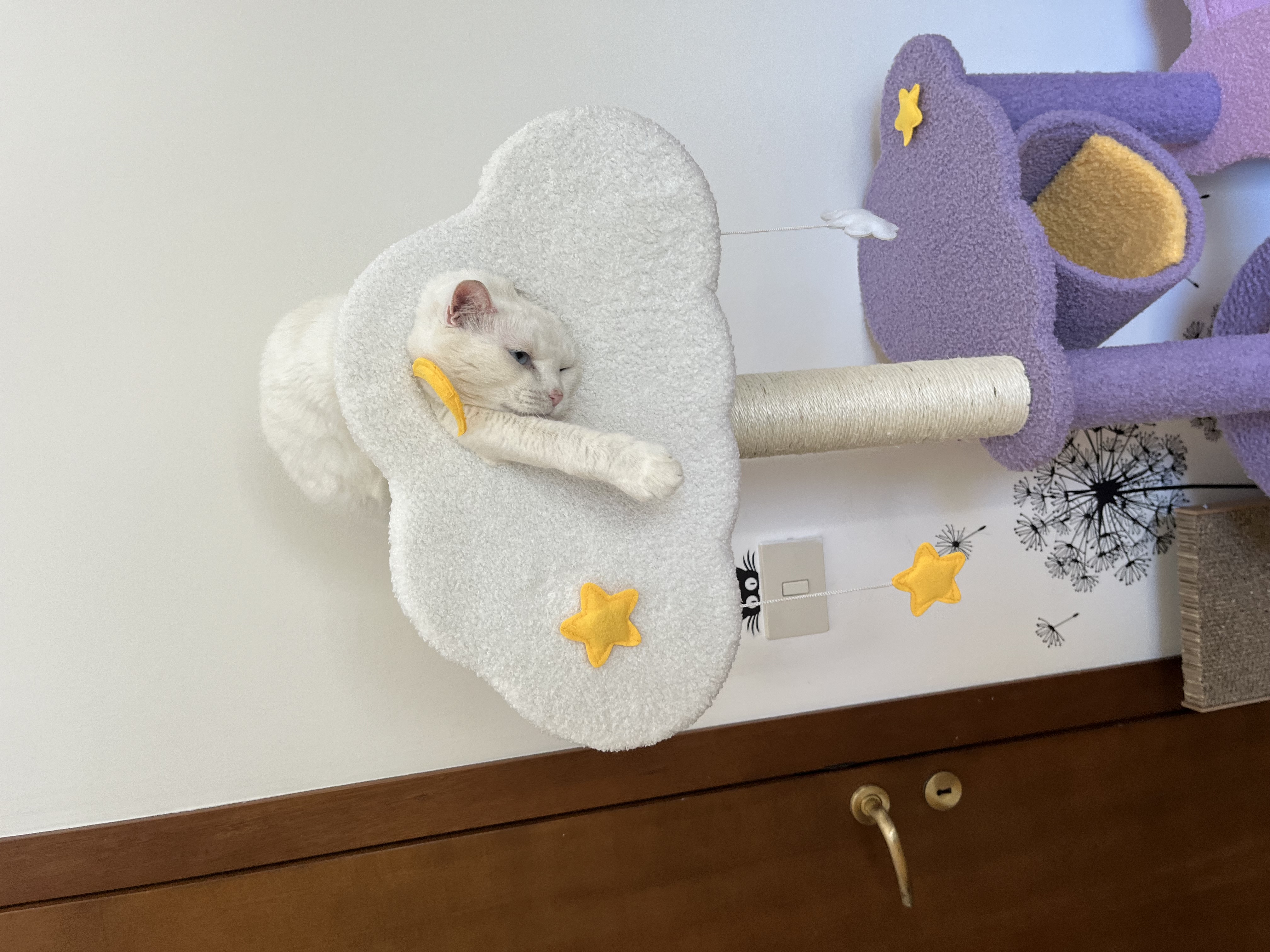 CAT Scratchers & Cat Tree Purple Cat Climbing Frame Cat Nest Cat Tree One Scratching Column Large Cat Tower Cat Scratching Board Toy Jumping Platform Cat Villa review Laila 01