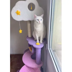 CAT Scratchers & Cat Tree Purple Cat Climbing Frame Cat Nest Cat Tree One Scratching Column Large Cat Tower Cat Scratching Board Toy Jumping Platform Cat Villa review Laila  03