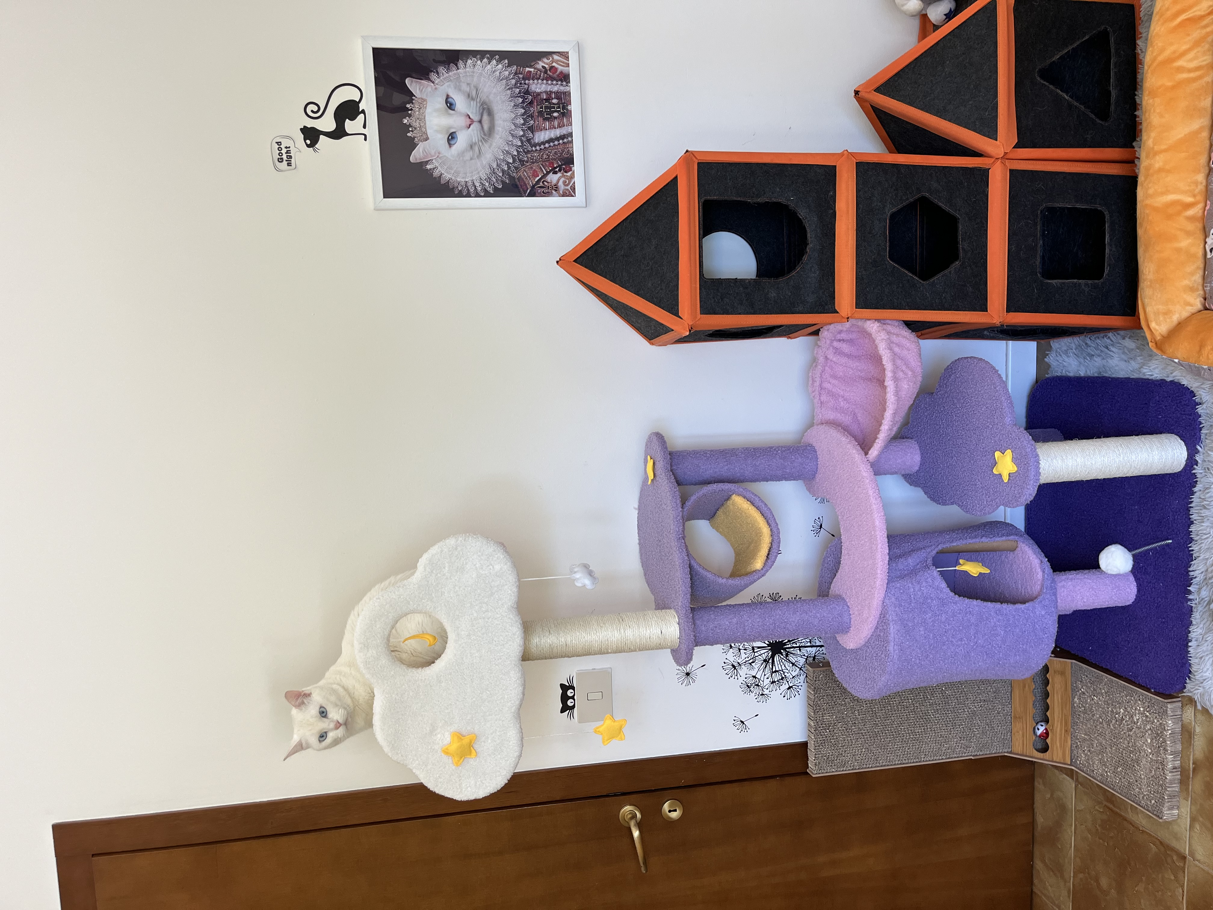 CAT Scratchers & Cat Tree Purple Cat Climbing Frame Cat Nest Cat Tree One Scratching Column Large Cat Tower Cat Scratching Board Toy Jumping Platform Cat Villa review Laila 04