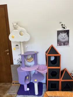 CAT Scratchers & Cat Tree Purple Cat Climbing Frame Cat Nest Cat Tree One Scratching Column Large Cat Tower Cat Scratching Board Toy Jumping Platform Cat Villa review Laila  04