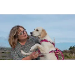 LISPOO Labrador Dog Hip Brace review Katherine Lanspery