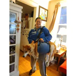 Dog Mobility Support Sling for Waist review R. L. Clouse
