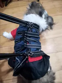 Full Body Dog Lift Harness review 1