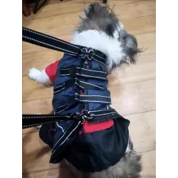 Full Body Dog Lift Harness review mepupyou 02
