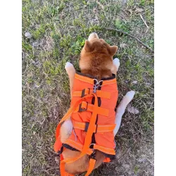 Full Body Dog Lift Harness review Ruby Gresham 02
