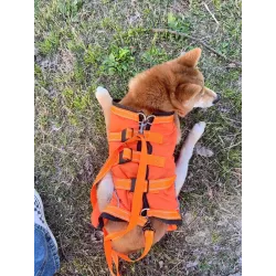 Full Body Dog Lift Harness review Ruby Gresham 01
