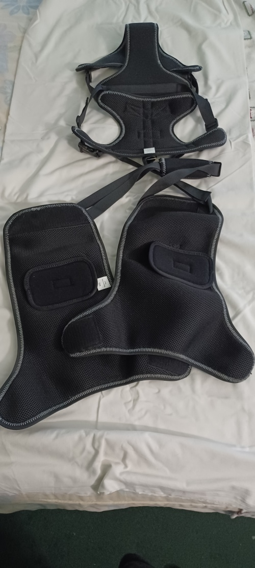 LISPOO Dog Hip Dysplasia Brace with Handle review 