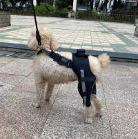 Dog Acl Braces Fix Joint Damage Knee Braces for Dogs review 0