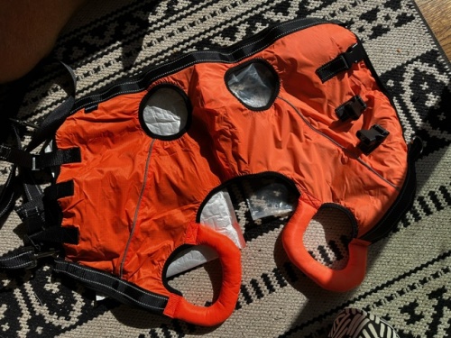 Full Body Dog Lift Harness review