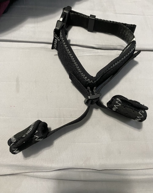 Dog Leg Braces For Hip Dysplasia review 