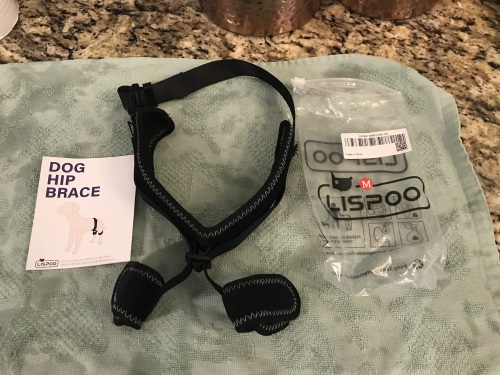 Dog Leg Braces For Hip Dysplasia review