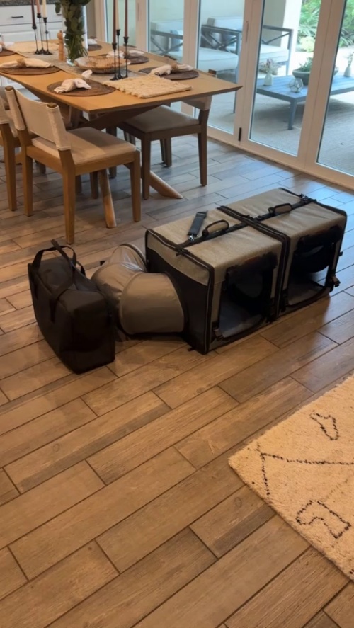 Moysoon Cat Dog Travel Tunnel Bag review 