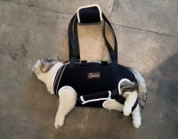 Dog Full Body Lifting Harness with Reflective Straps review 0