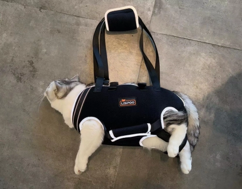 Dog Full Body Lifting Harness with Reflective Straps review Oliver 