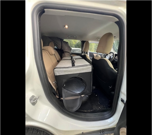 Moysoon Cat Dog Travel Tunnel Bag review Kristy Payne