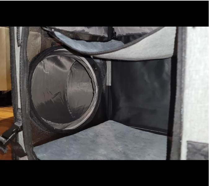 Moysoon Cat Dog Travel Tunnel Bag review atmj 04