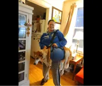 Dog Lift and Mobility Support Harness review 0