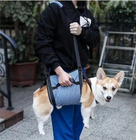 Dog Lift and Mobility Support Harness review 