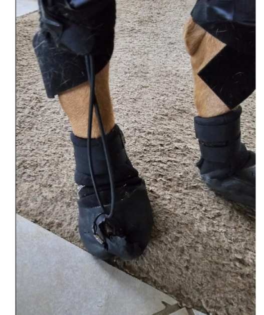 LISPOO Dog Paw Protection Boots review 0