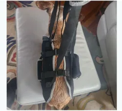 Dog Full Body Lifting Harness with Reflective Straps review Kelly 03