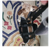 Dog Full Body Lifting Harness with Reflective Straps review 3