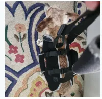 Dog Full Body Lifting Harness with Reflective Straps review 3