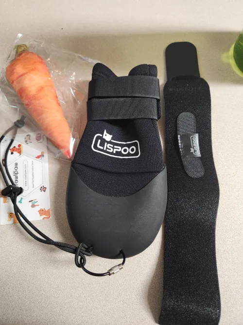 LISPOO Dog Paw Protection Boots review 