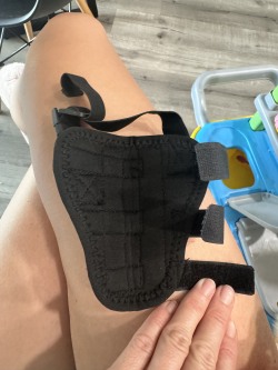 Chihuahua Leg Brace with Reflective Metal Support review April 02