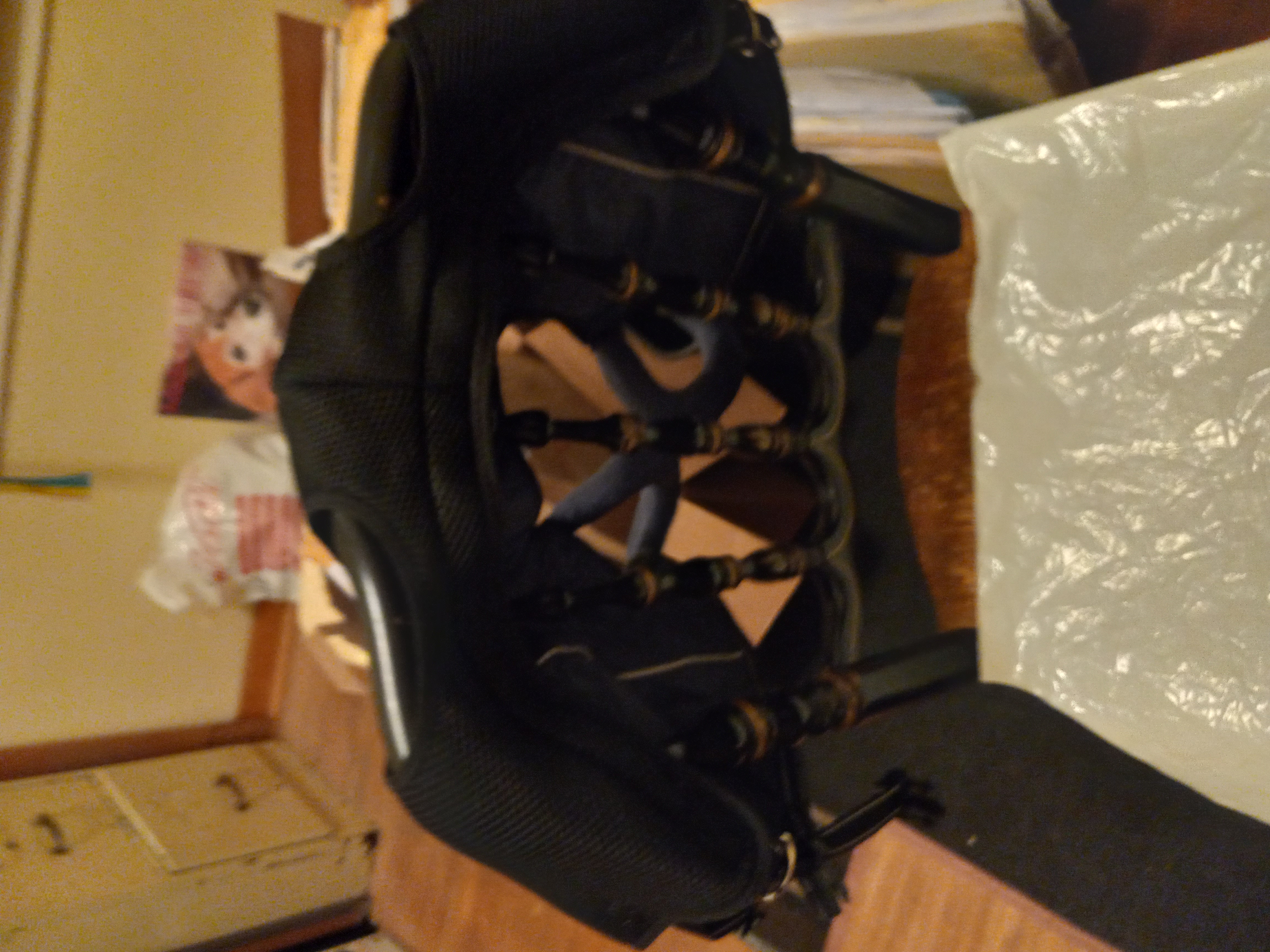 Full Body Dog Lift Harness review Augus 03