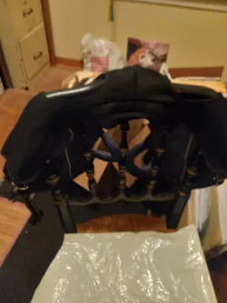 Full Body Dog Lift Harness review Augus 03