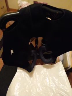 Full Body Dog Lift Harness review Augus 02