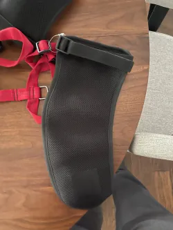 LISPOO Dog Hip Brace for Hip Dysplasia review Quinn 02