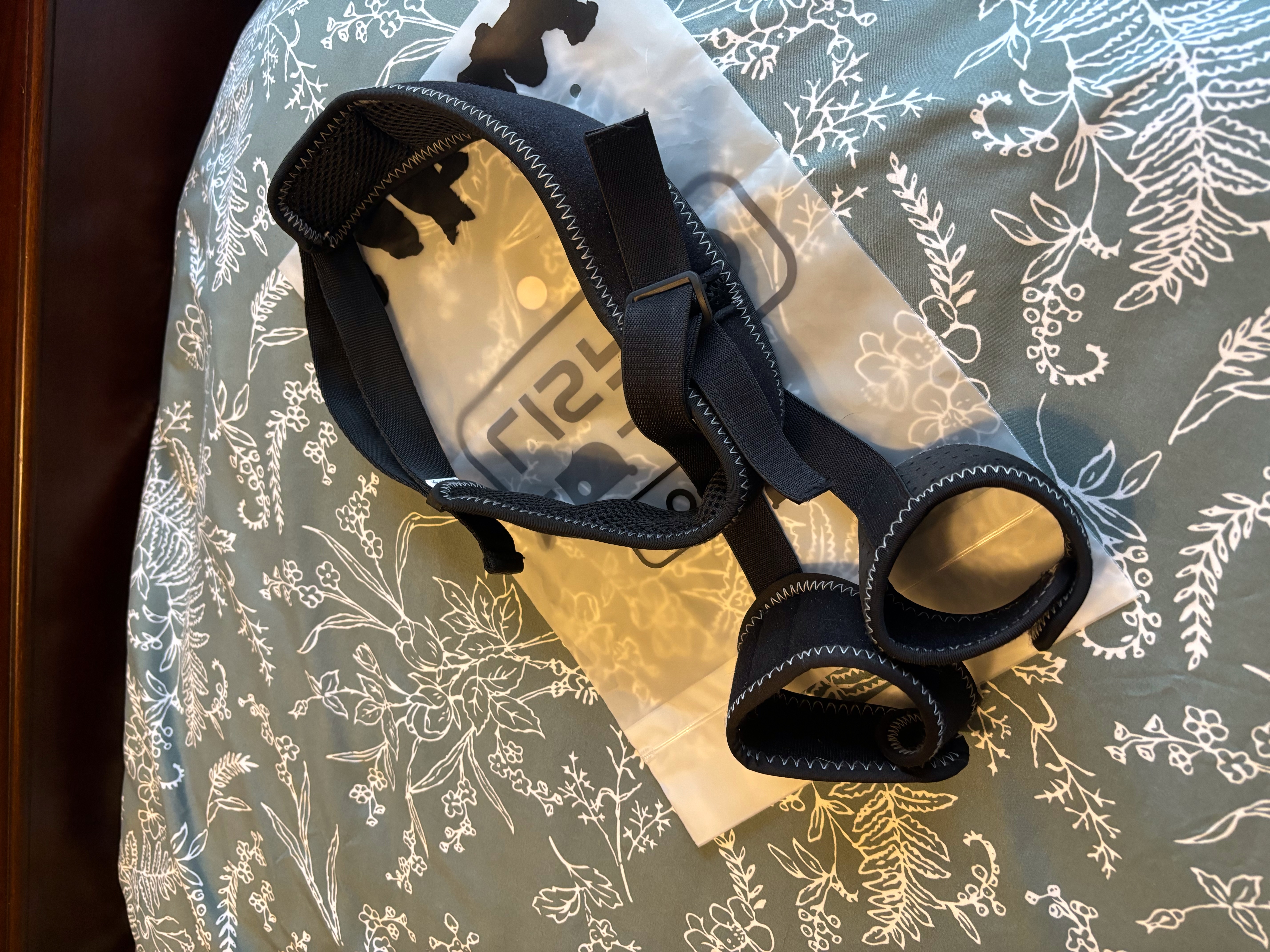 Dog Leg Braces For Hip Dysplasia review Madeline 01