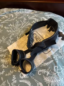 Dog Leg Braces For Hip Dysplasia review Madeline 01
