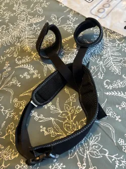 Dog Leg Braces For Hip Dysplasia review Madeline 02