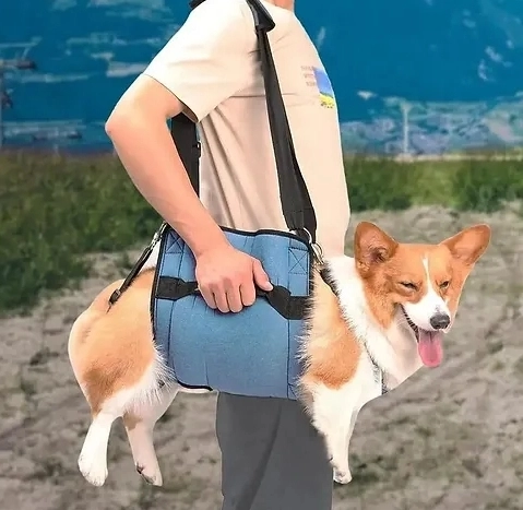 Dog Lift and Mobility Support Harness review 