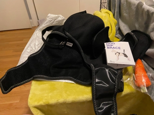 LISPOO Dog Hip Dysplasia Brace with Handle review 
