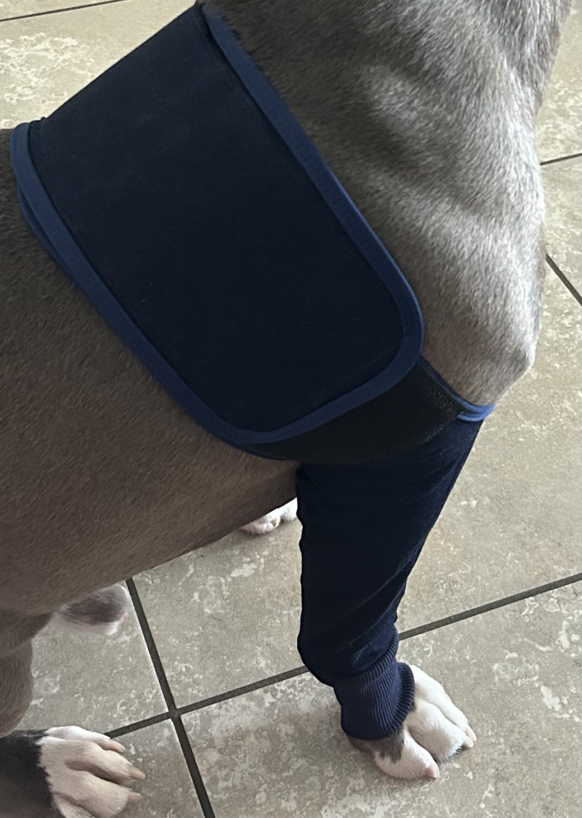 Dog Leg Sleeves For Prevent Licking review Kelly S. 02