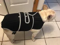 Dog Back Brace for IVDD with Reflective Design review 4
