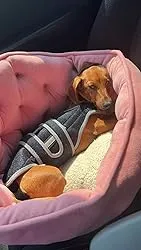 Dog Back Brace for IVDD with Reflective Design review Bradley Norris