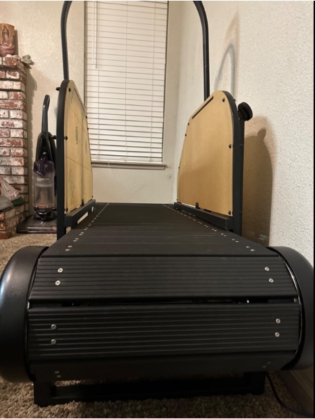 Dog Treadmill for Large/Medium Dogs Used Indoor Home Up to 300LBS review Rocky Is my Dawg 01
