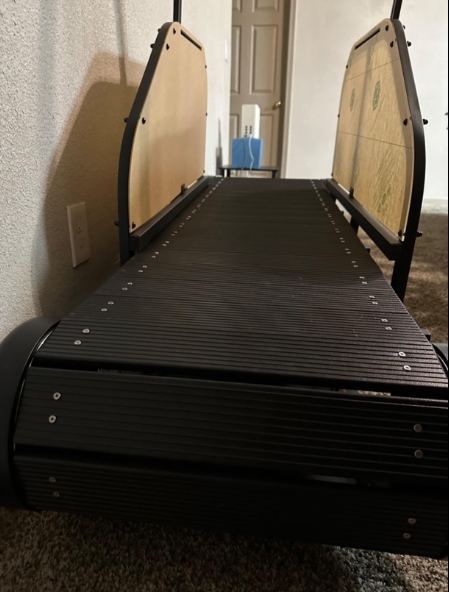 Dog Treadmill for Large/Medium Dogs Used Indoor Home Up to 300LBS review Rocky Is my Dawg 03