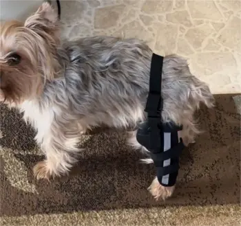 Dog Leg Brace with Reflective Metal Support review By K***s