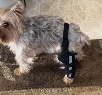 Dog Leg Brace with Reflective Metal Support review 