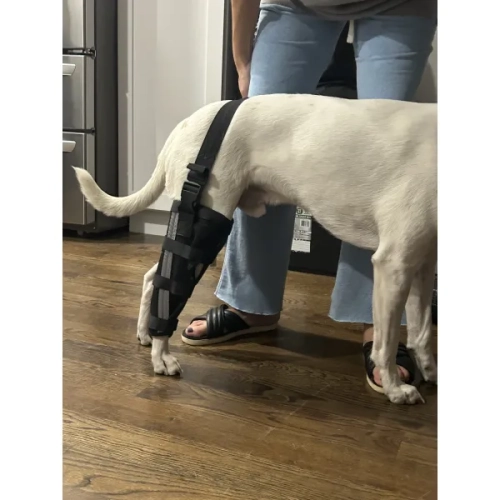 Dog Leg Brace with Reflective Metal Support review 
