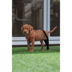 Dog Leg Brace with Reflective Metal Support review  By D***l